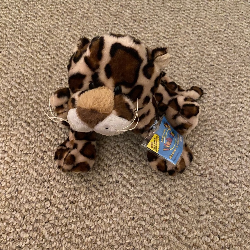 Beautiful soft new jaguar!